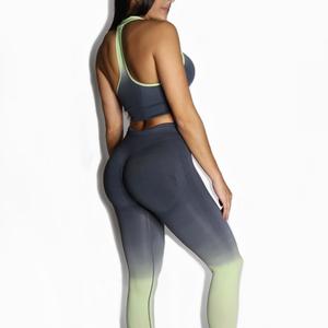 Knockout Sports Bra